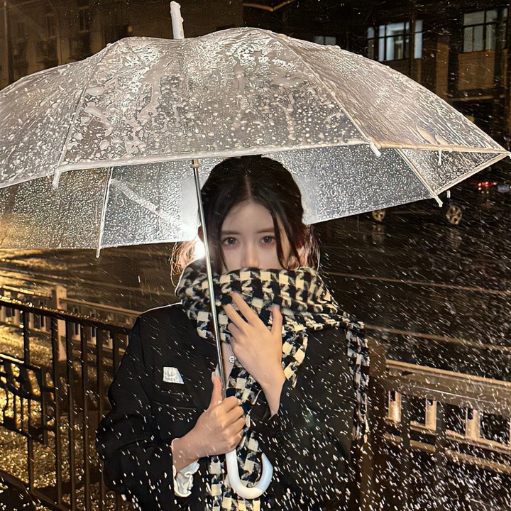 侠女传奇
